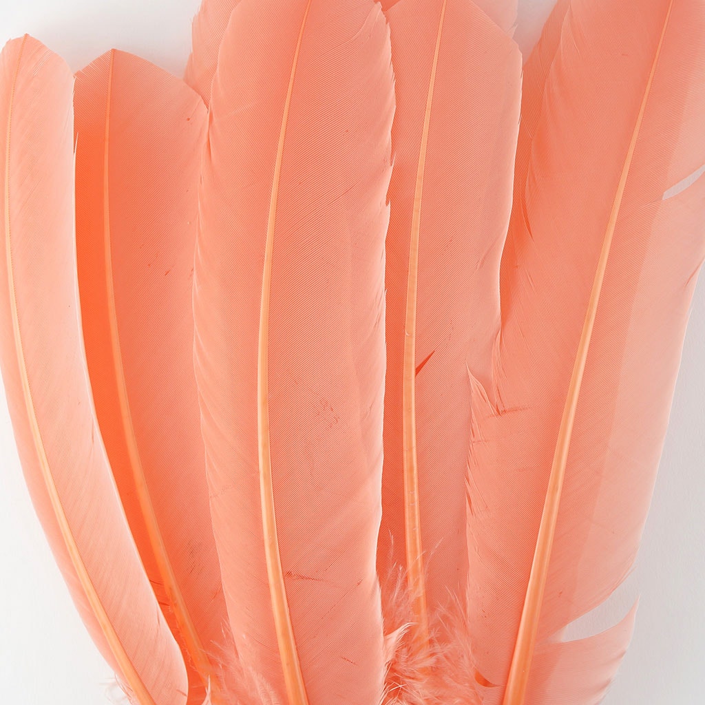 Turkey Quills by Pound - Right Wing - Apricot Blush