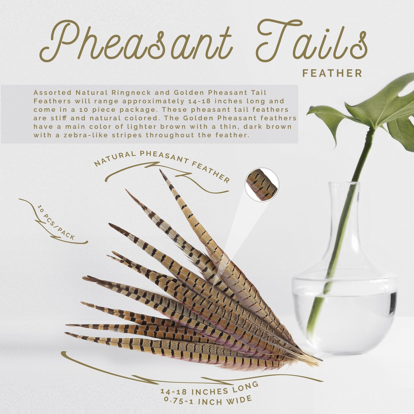 Pheasant Tails Assorted Natural -14-18"