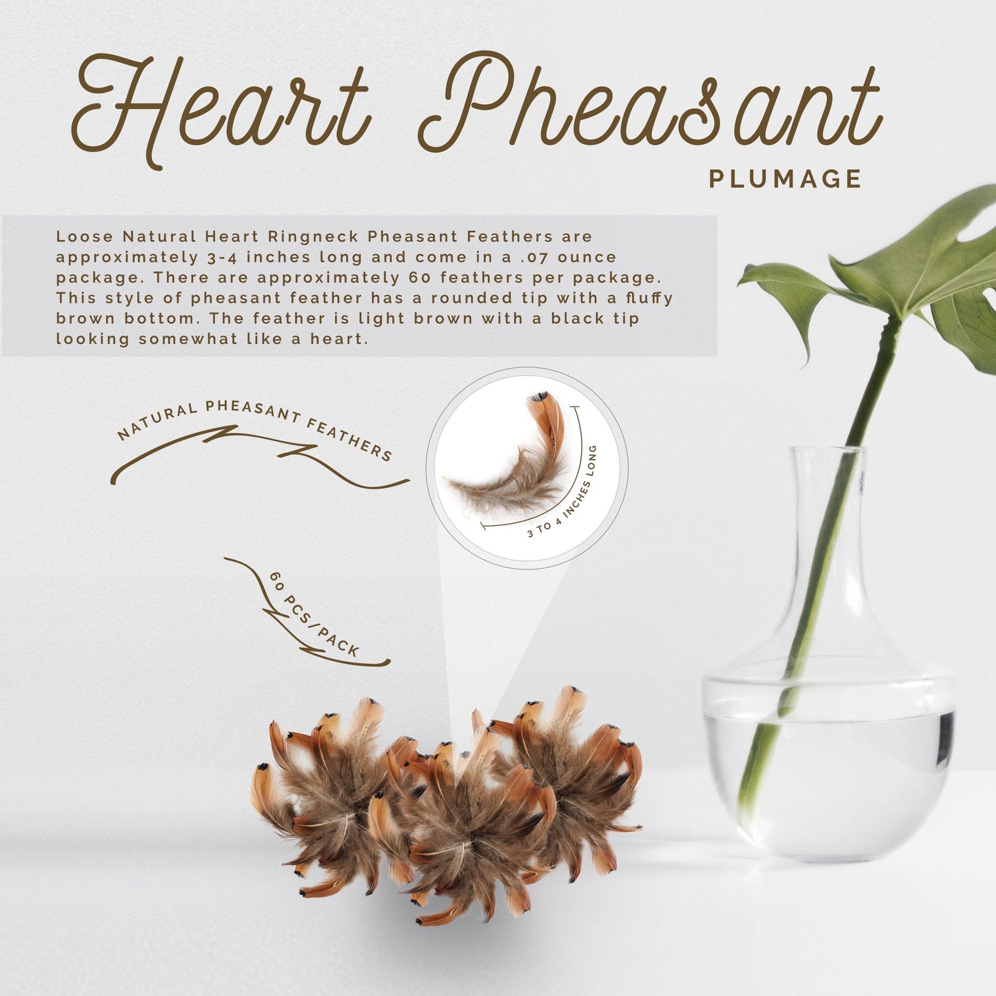 Heart Pheasant Plumage - Natural