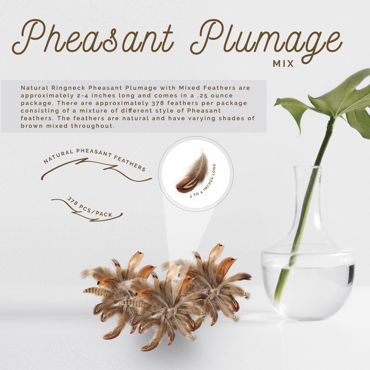 Pheasant Plumage Mix Natural - Natural