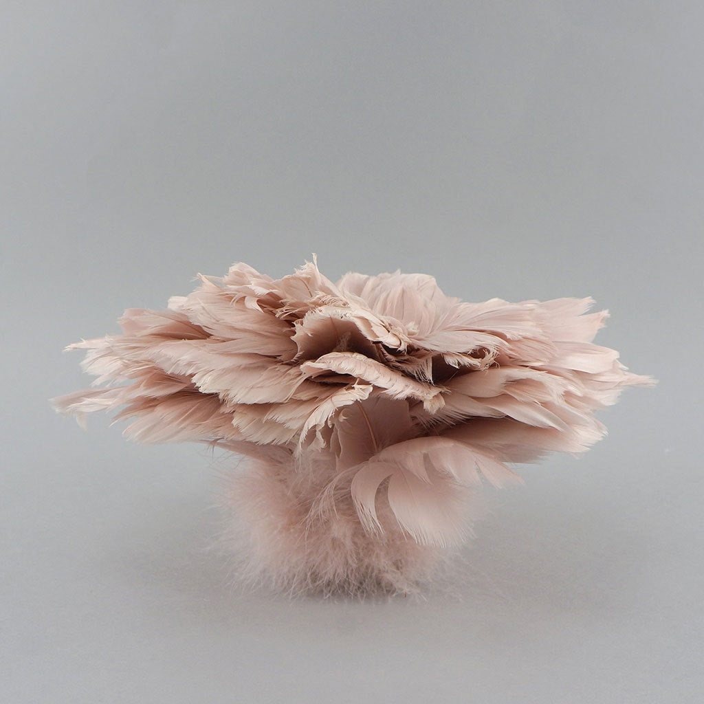 Goose Coquille Dyed Feathers - Champagne