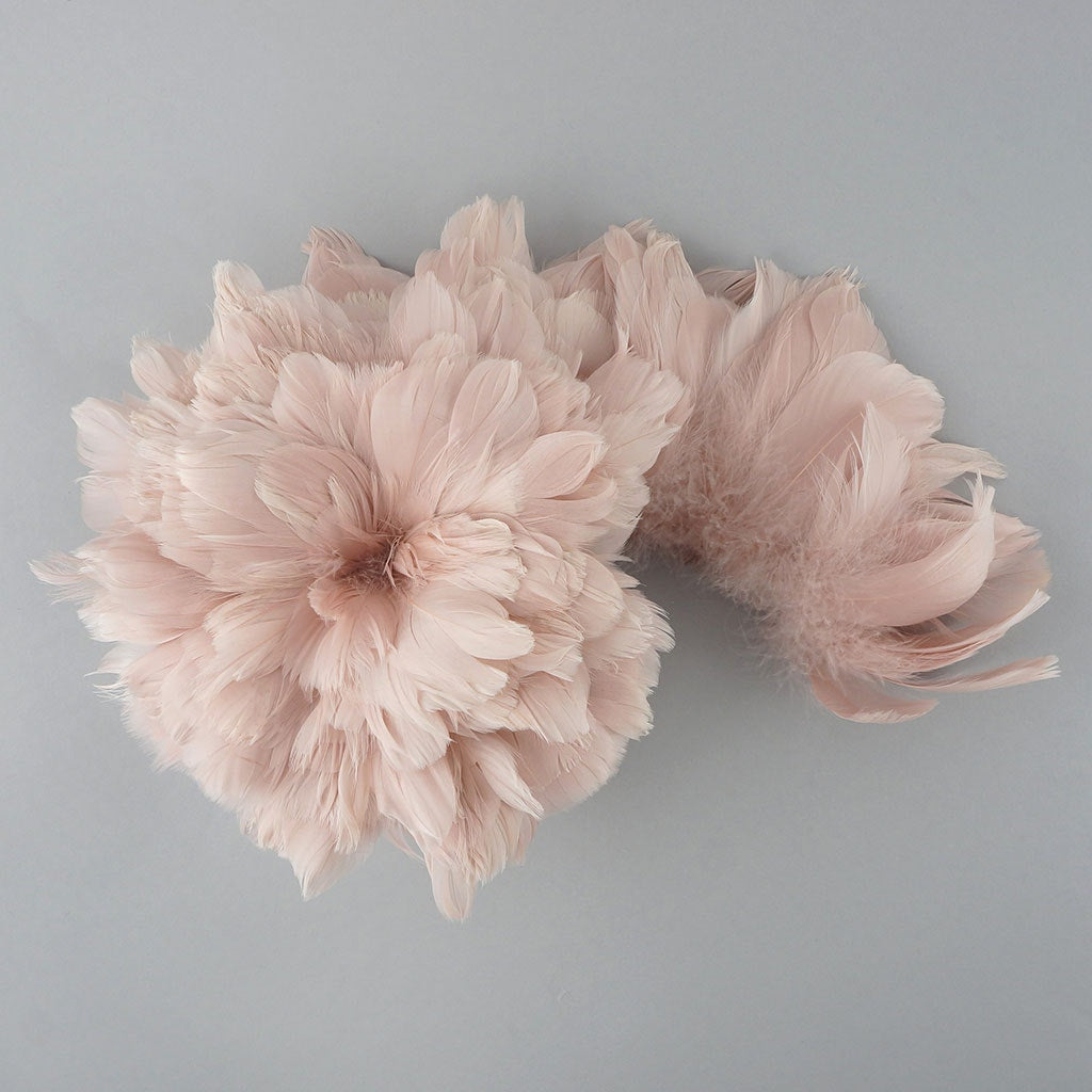 Goose Coquille Dyed Feathers - Champagne