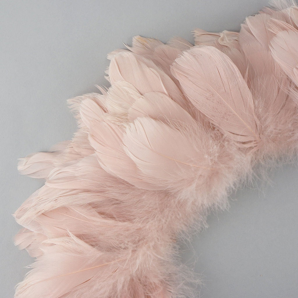 Goose Coquille Dyed Feathers - Champagne