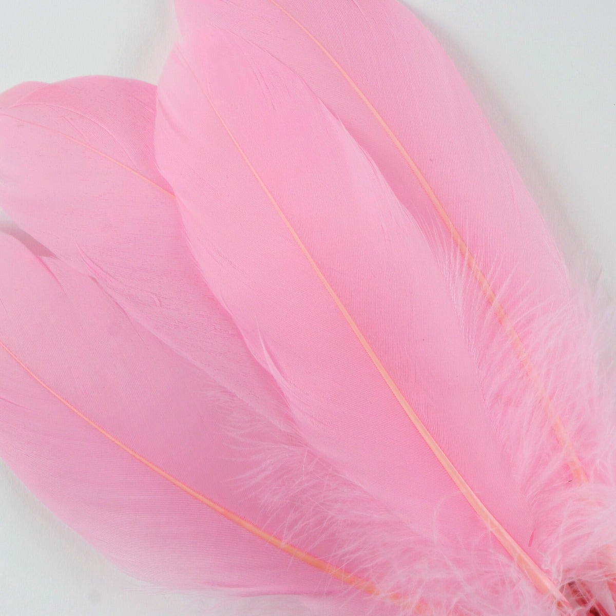 Goose Pallet Feathers 6-8" - 12 PC - Candy Pink