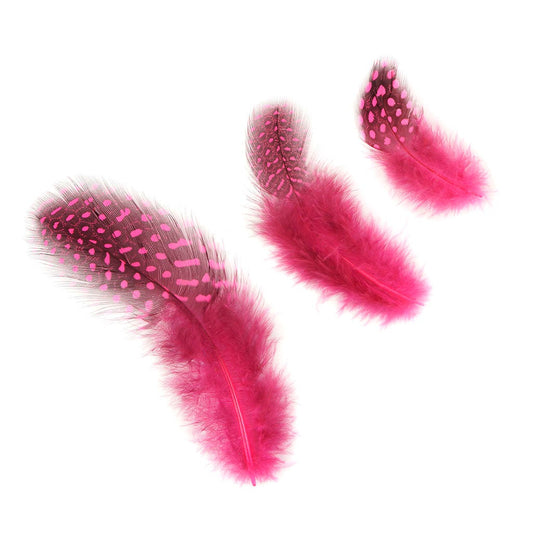 Pink Feathers – Zucker Feather Products, Inc.