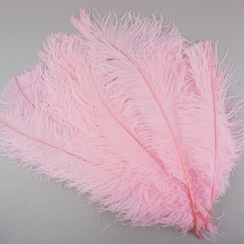Baby Pink Ostrich Feathers/plumes/wings Wholesale Bulk Dozen Cheap