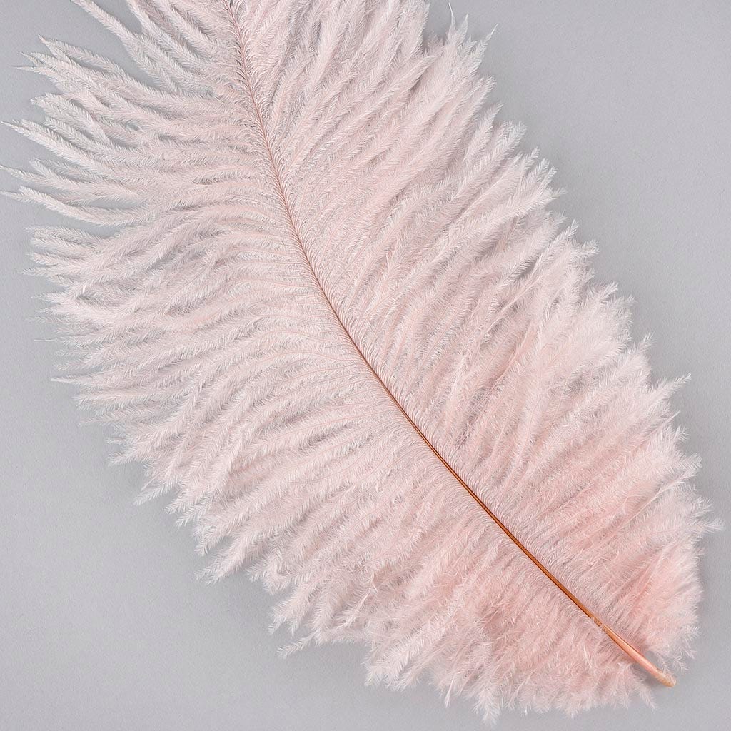 Ostrich Feathers 9-12" Drabs - Champagne