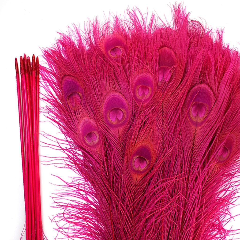 Peacock Tail Eyes Bleached Dyed - Shocking Pink
