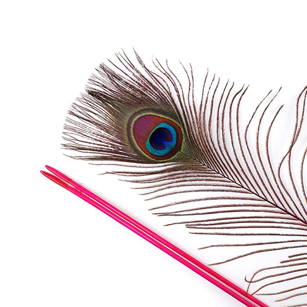 Peacock Feather Eyes Stem Dyed - 25-40 Inch - 10 PCS - Shocking Pink