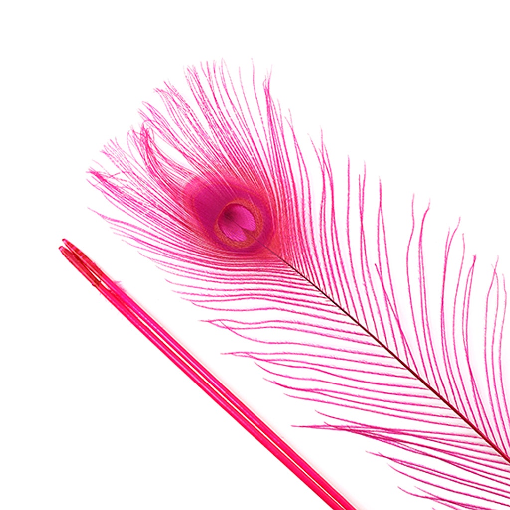 Bleached and Dyed Peacock Eye Feathers - 25-40 Inch - 10 PCS - Shocking Pink