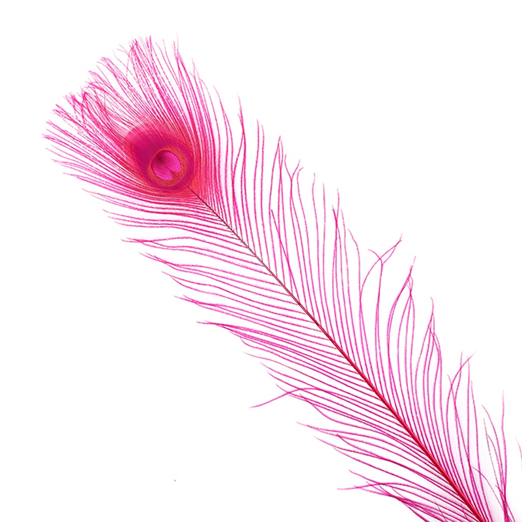 Bleached and Dyed Peacock Eye Feathers - 25-40 Inch - 10 PCS - Shocking Pink