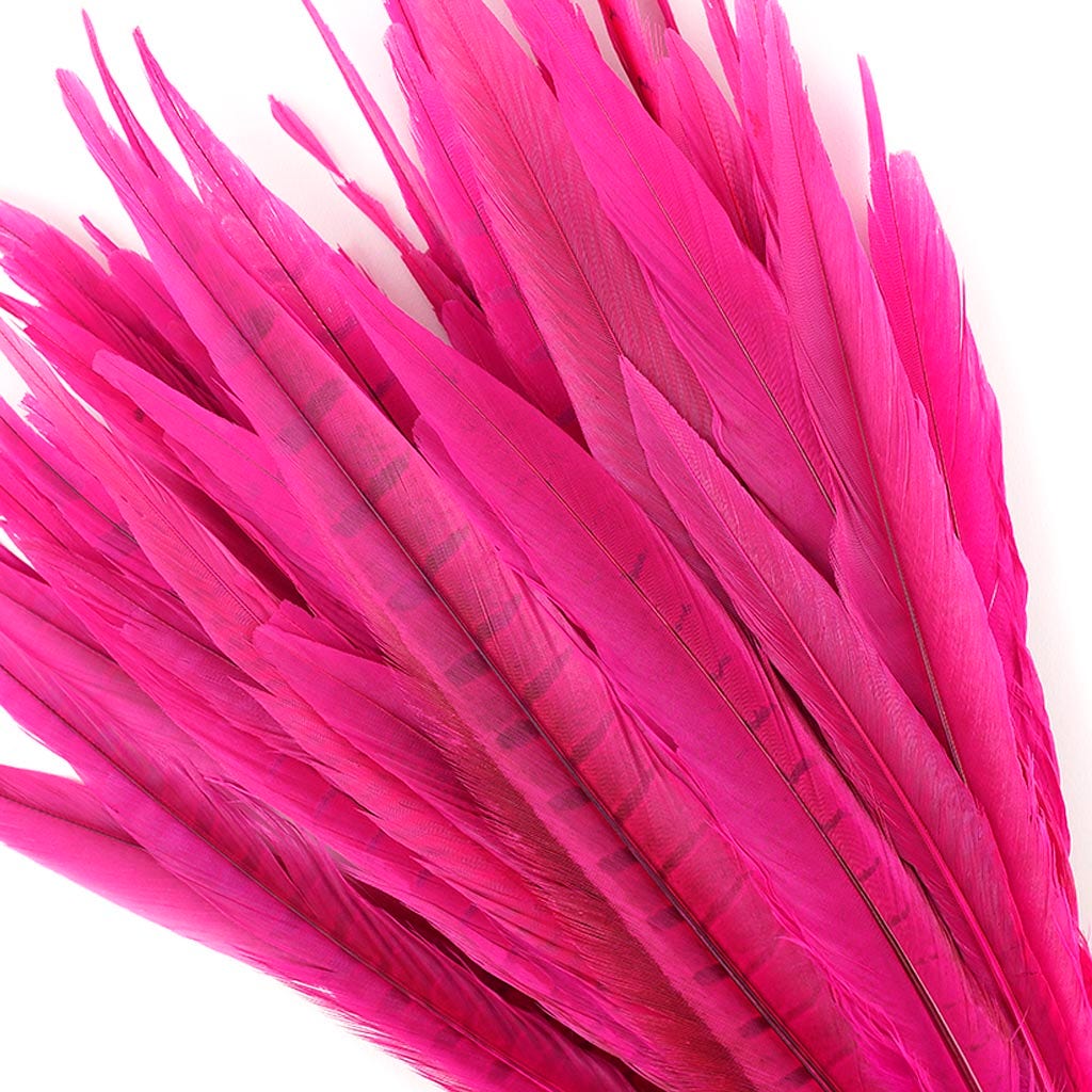 Pheasant Tails Assorted Bleached - Shocking Pink