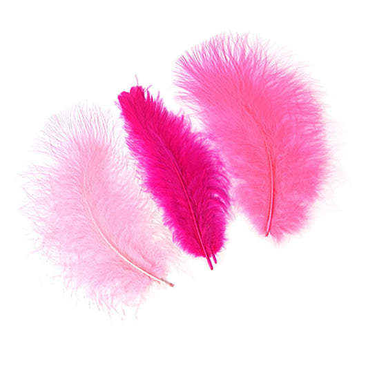 Fairy Pink Turkey Plumage Feathers - Feathergirl