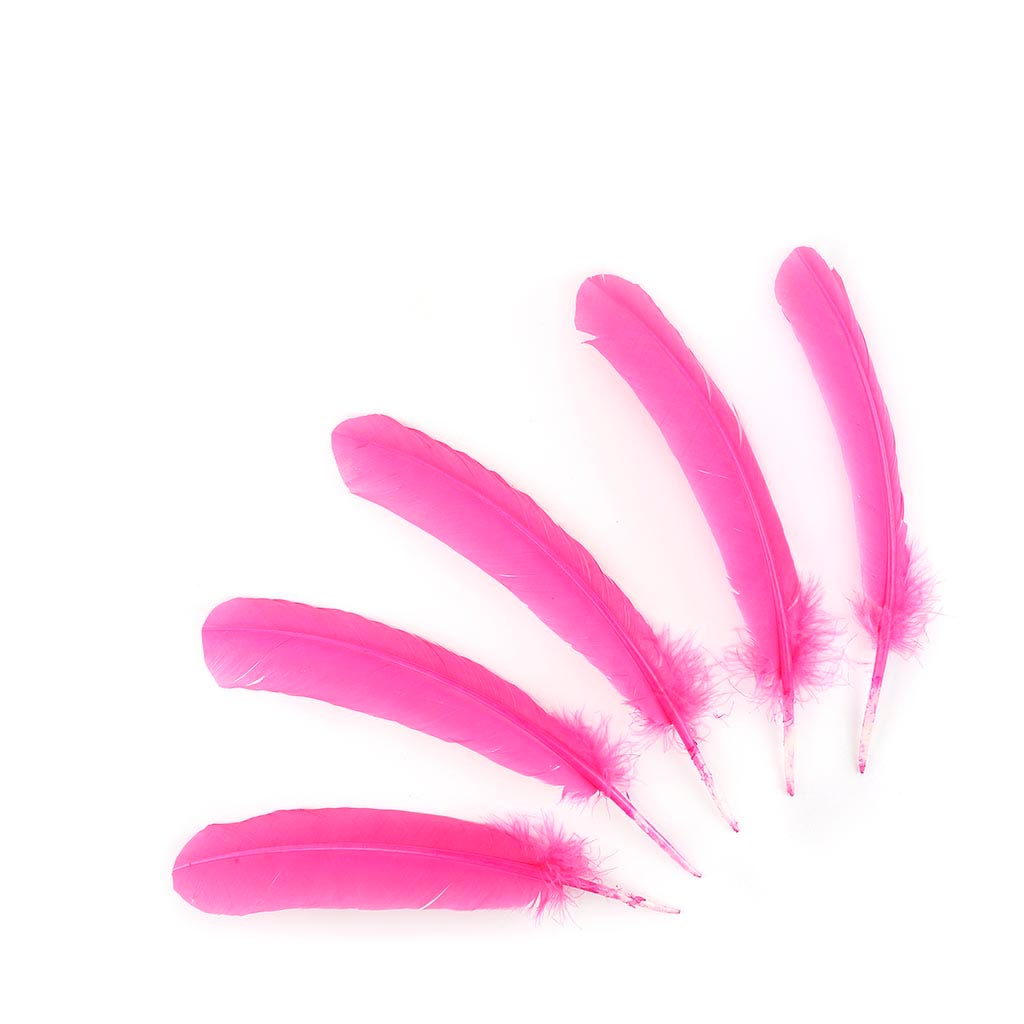 Turkey Quills Selected - Pink Orient