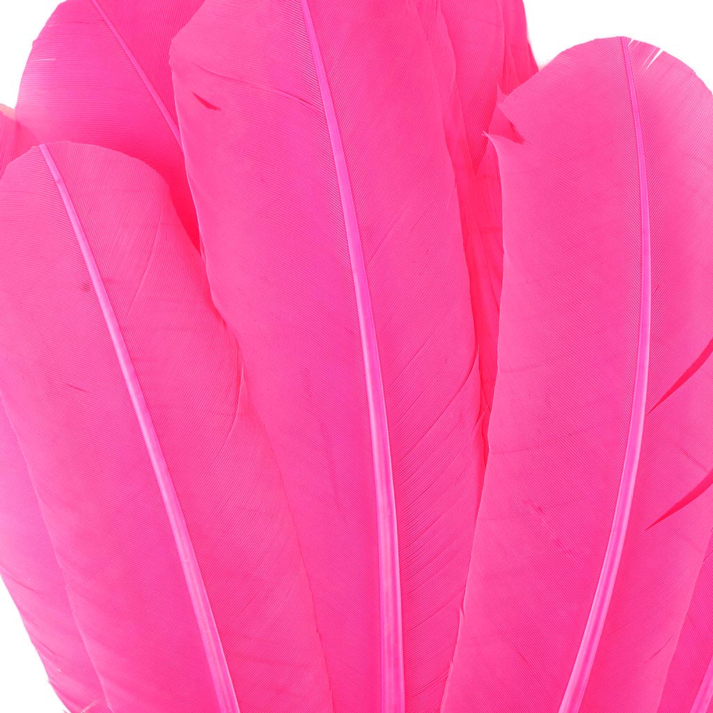 Turkey Quills Selected - Pink Orient