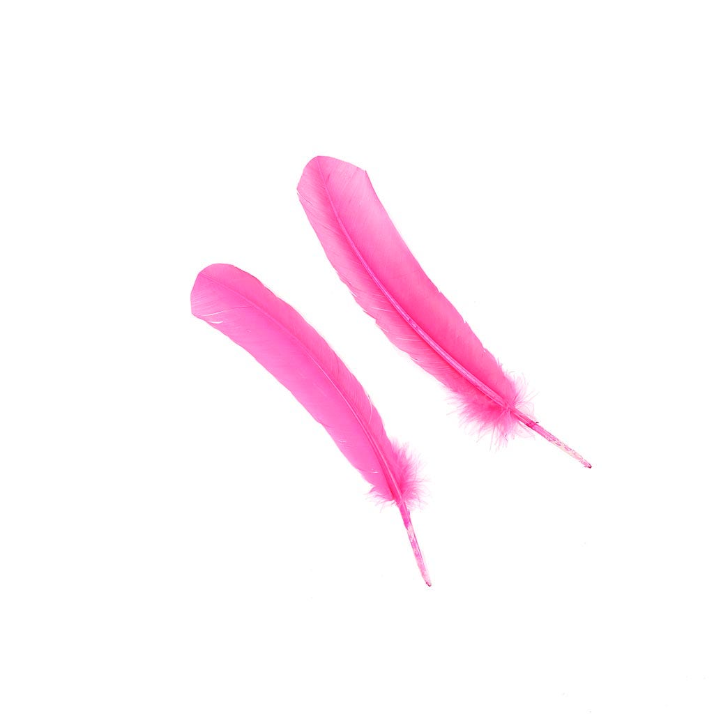 Turkey Quills by Pound - Left Wing - Pink Orient