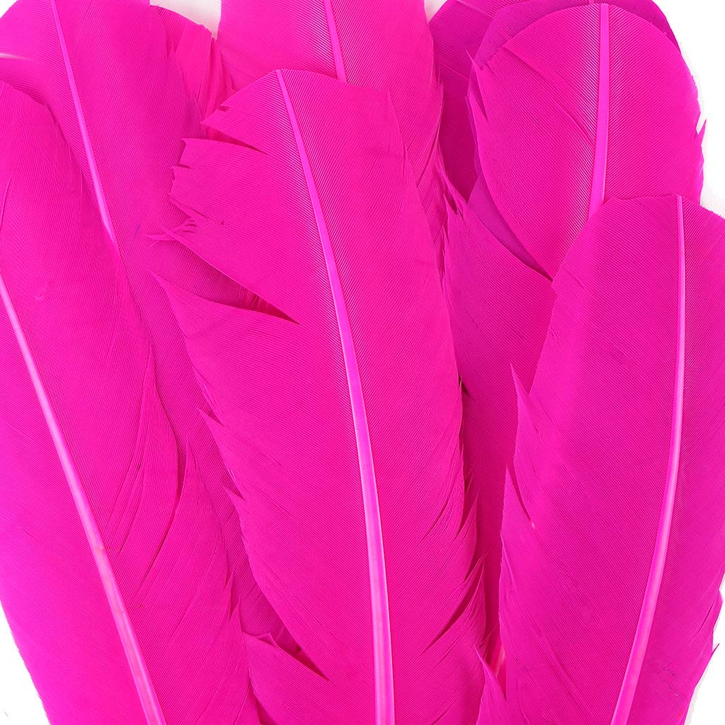 Turkey Quills by Pound - Left Wing - Shocking Pink