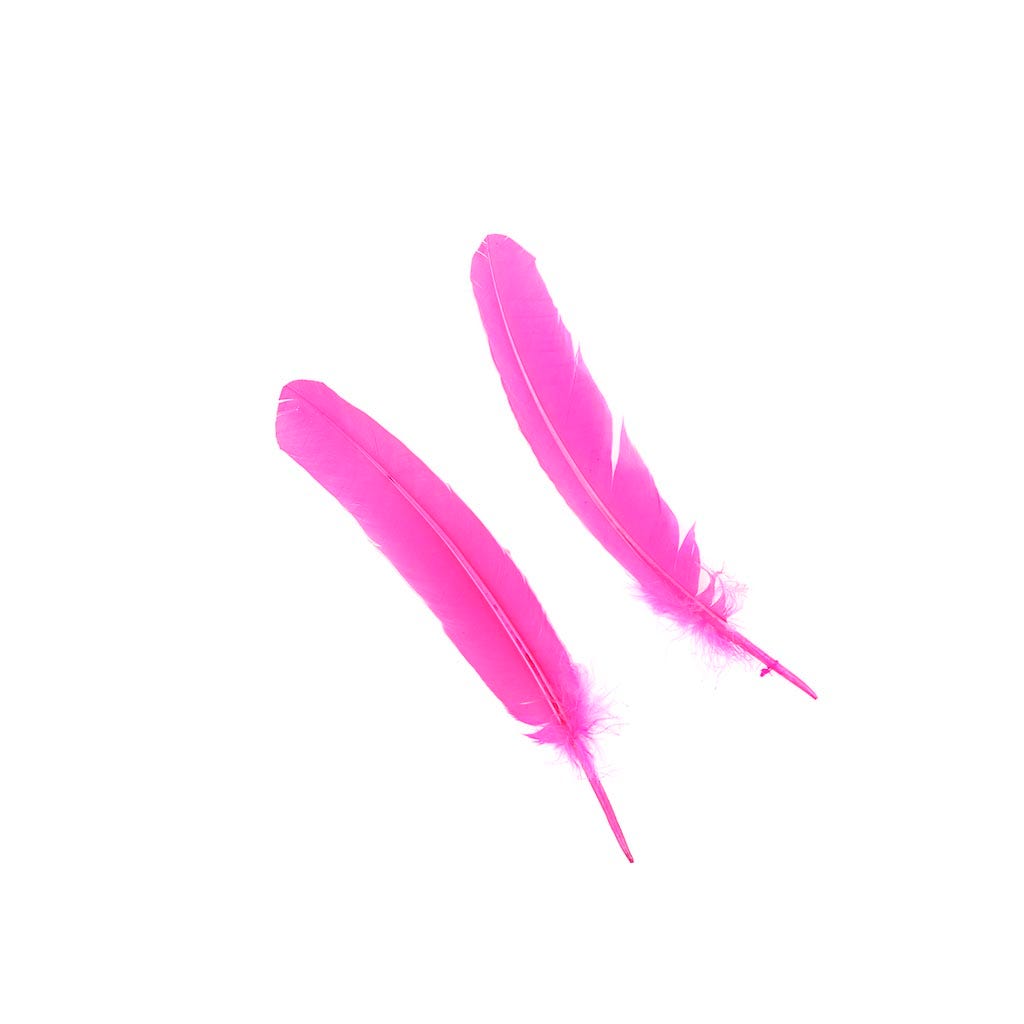 Turkey Quills by Pound - Right Wing - Pink Orient