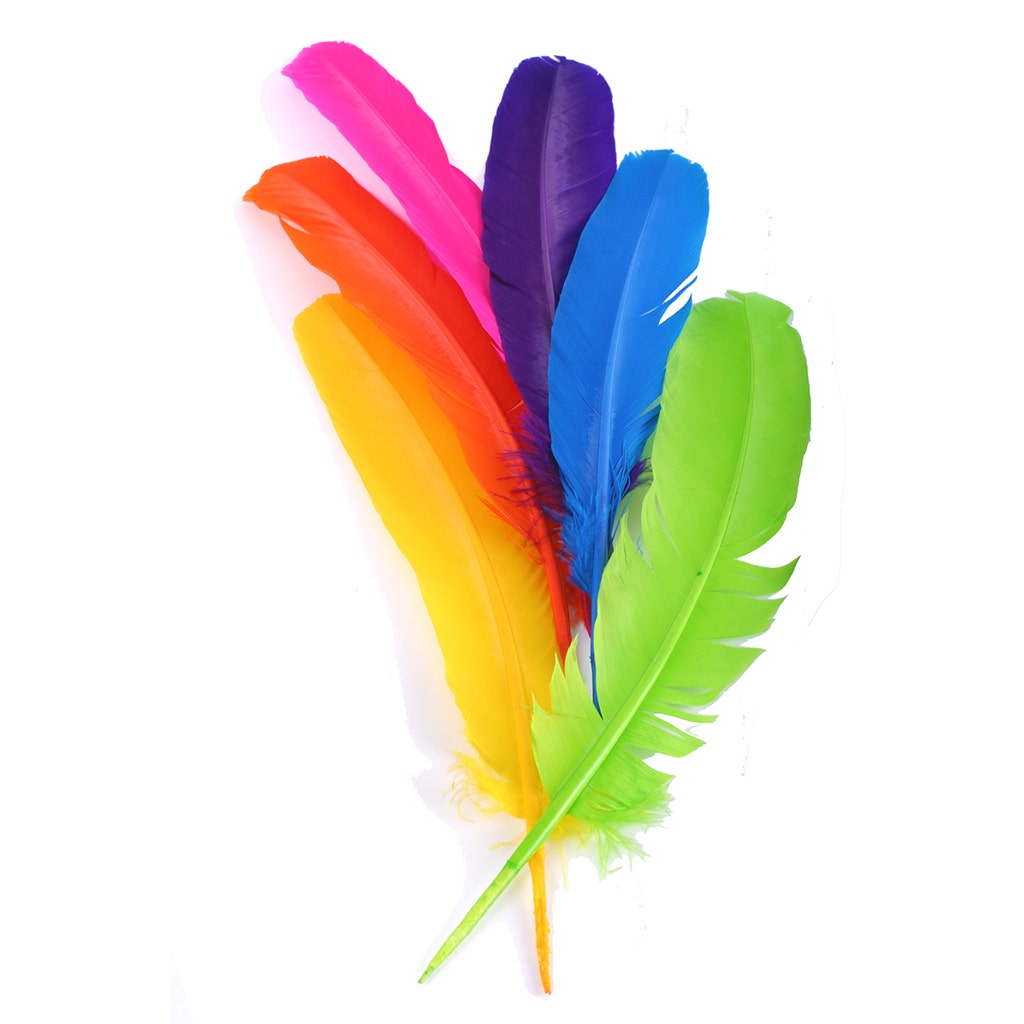 Parried Turkey Quills Selected - Shocking Pink