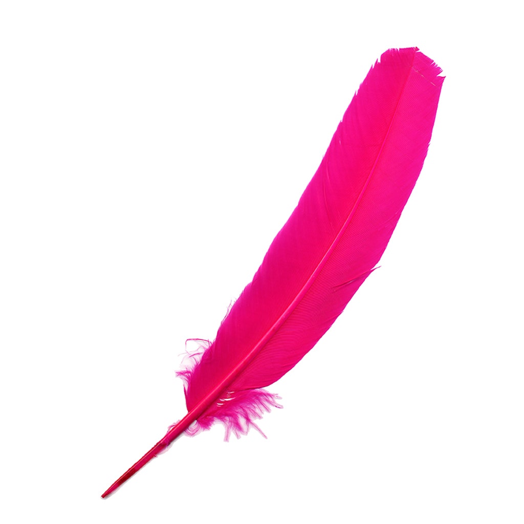 Parried Turkey Quills Selected - Shocking Pink