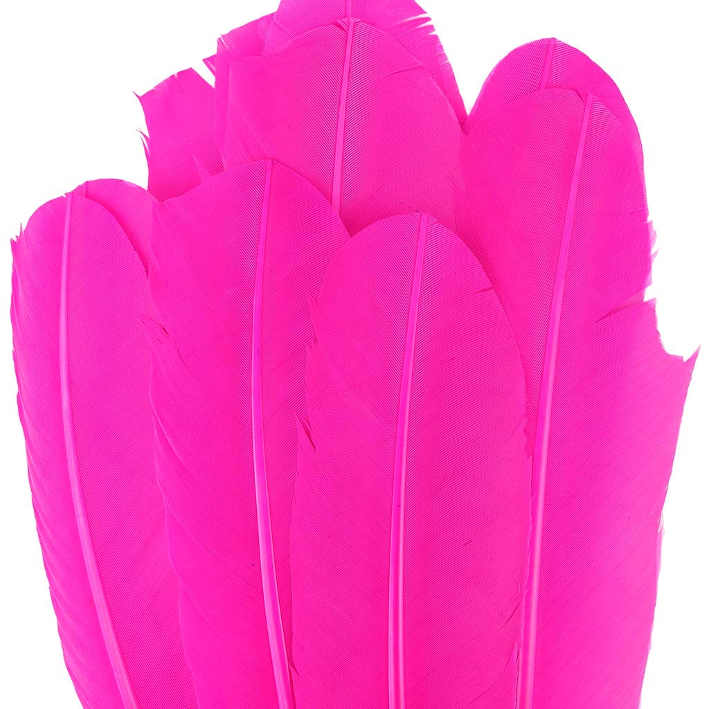 Turkey Quills by Pound - Right Wing - Shocking Pink