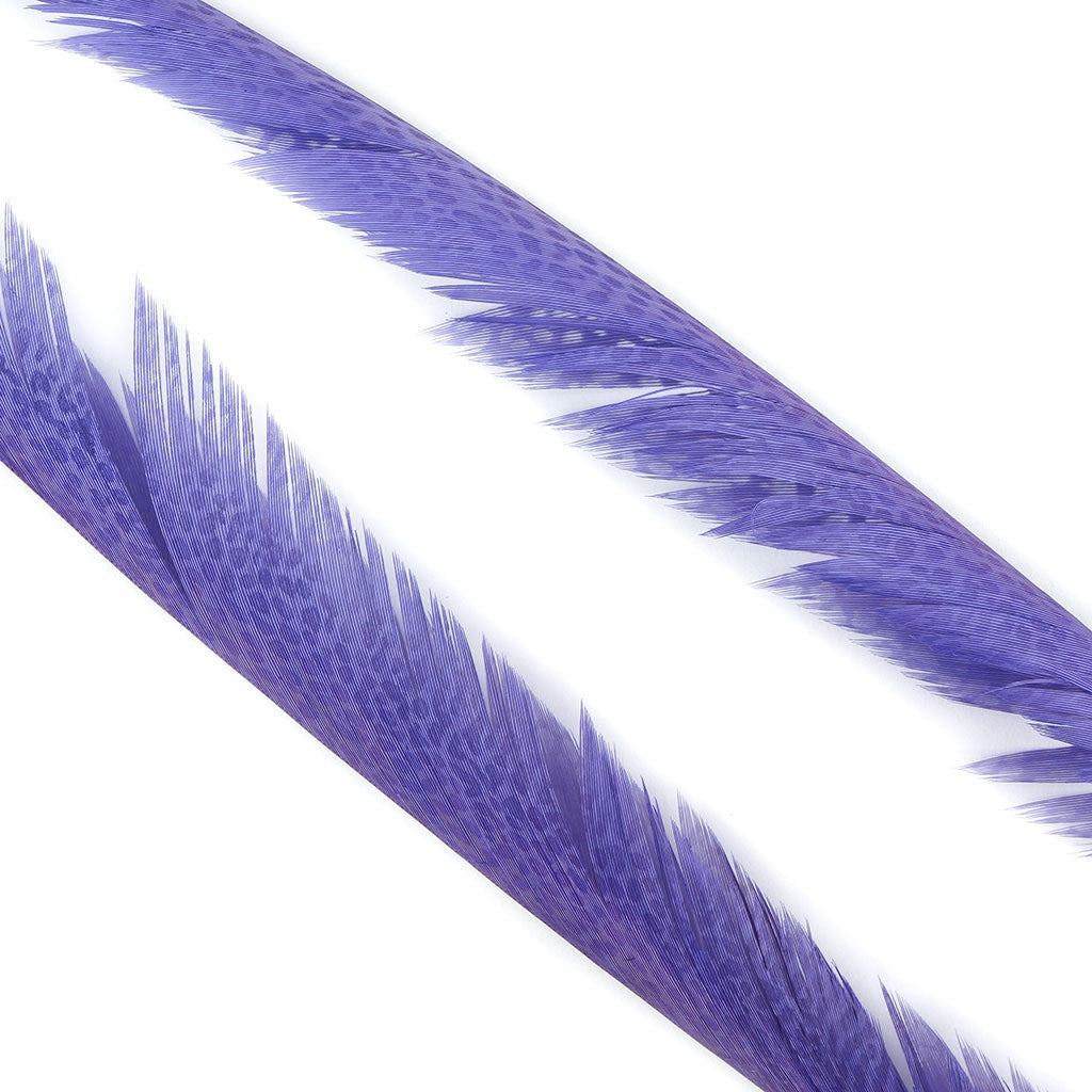 Golden Pheasant Center Tails Dyed Fl Lilac