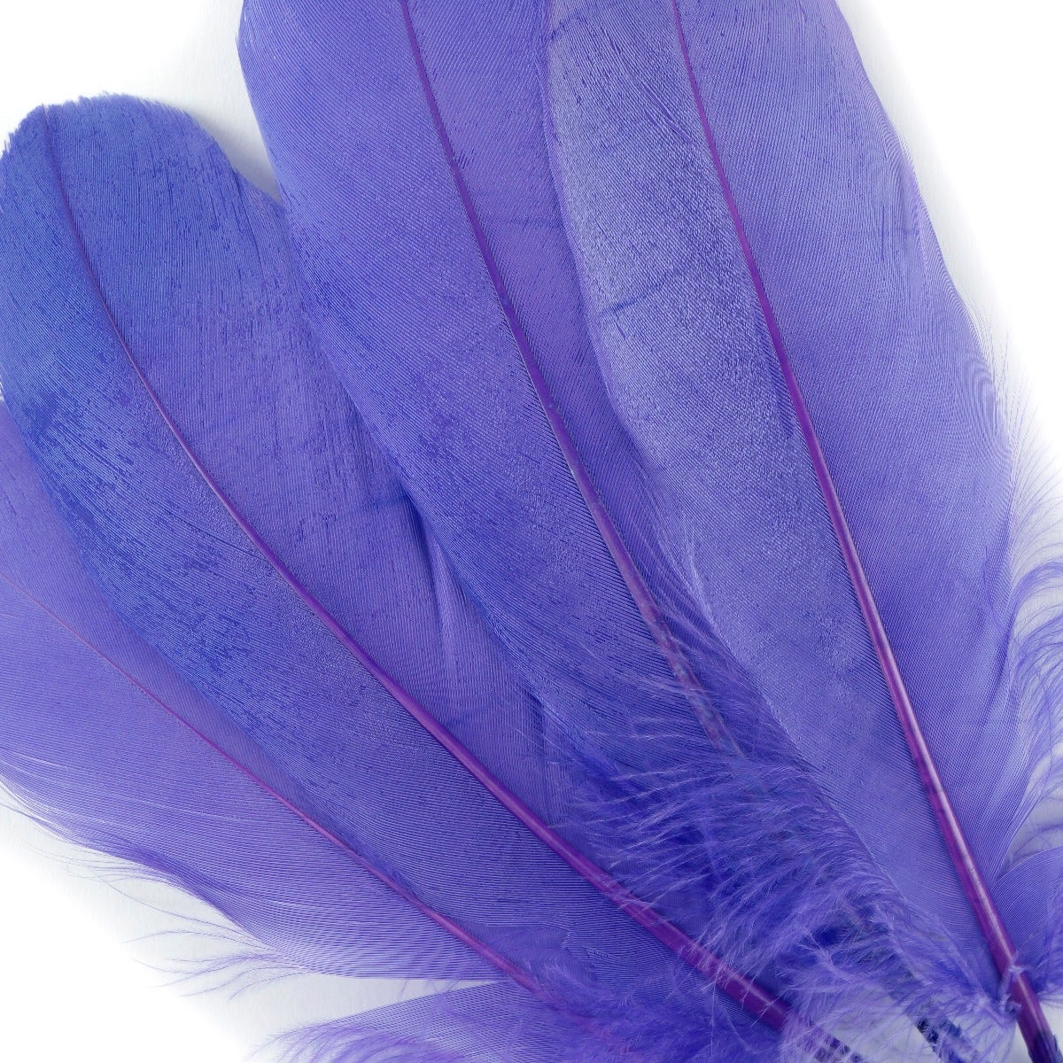 Goose Pallet Feathers 6-8" - 12 pc - Lavender