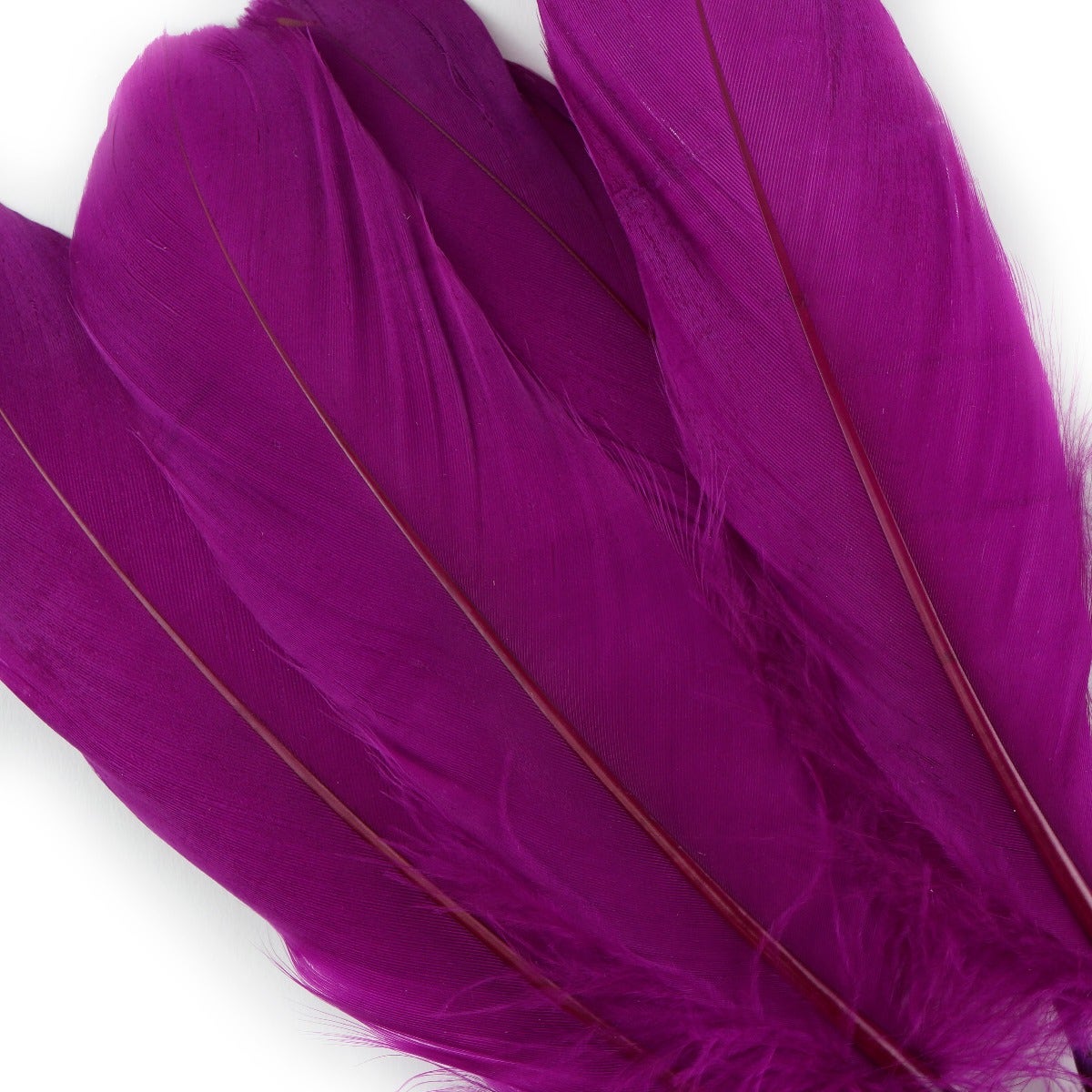 Goose Pallet Feathers 6-8" - 12 pc - Very Berry