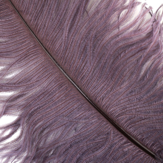 Large Ostrich Feathers - 20-25" Prime Femina Plumes - Amethyst