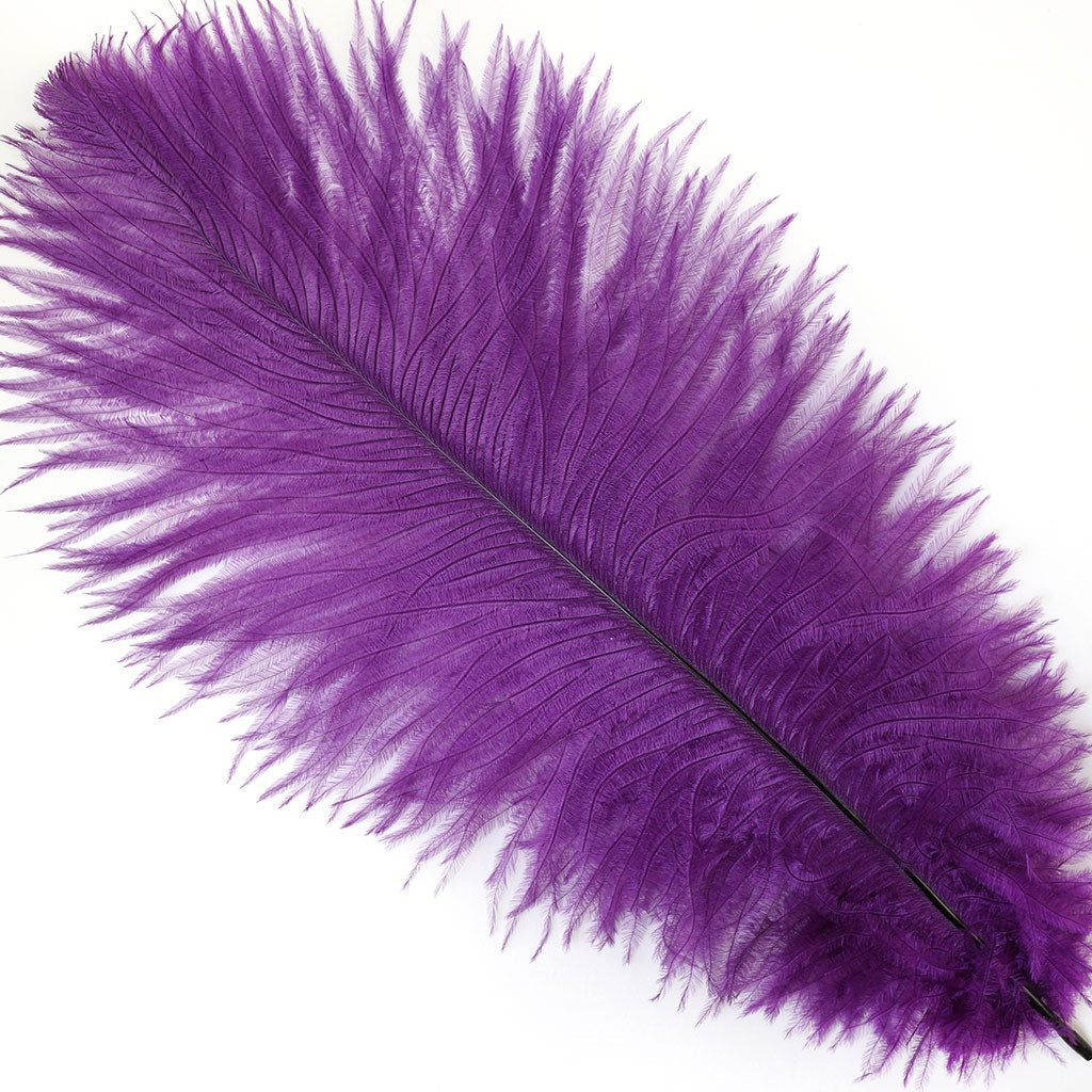 Ostrich Feathers 9-12" Drabs -  Purple
