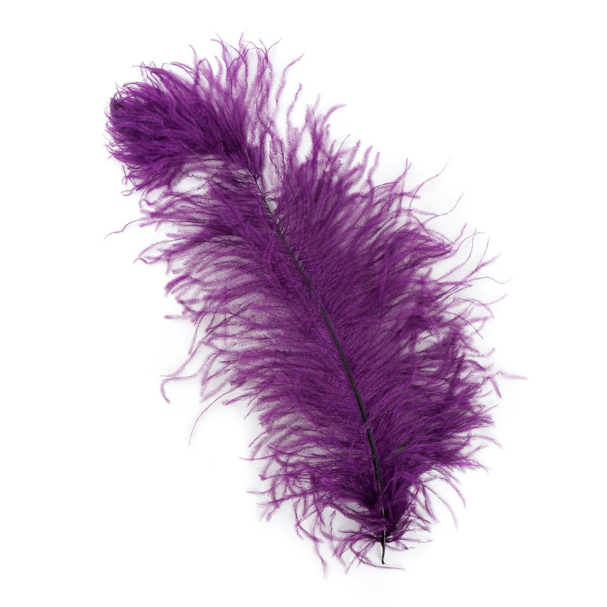 Ostrich Feathers-Damaged Femina - Purple