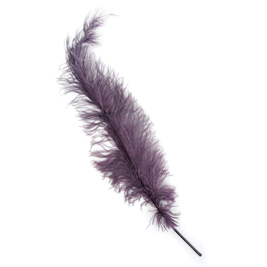 Ostrich Feathers-Spads Damaged - Beige