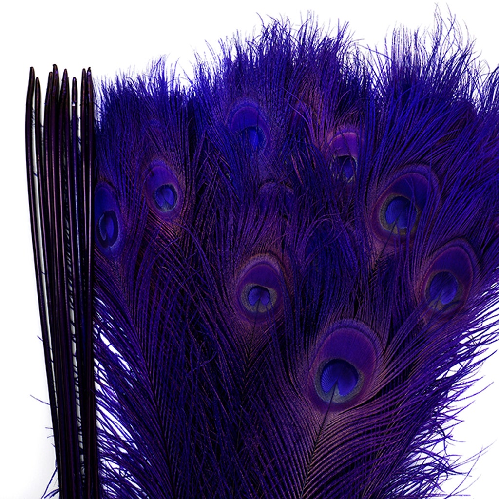 Peacock Tail Eyes Bleached Dyed - Regal
