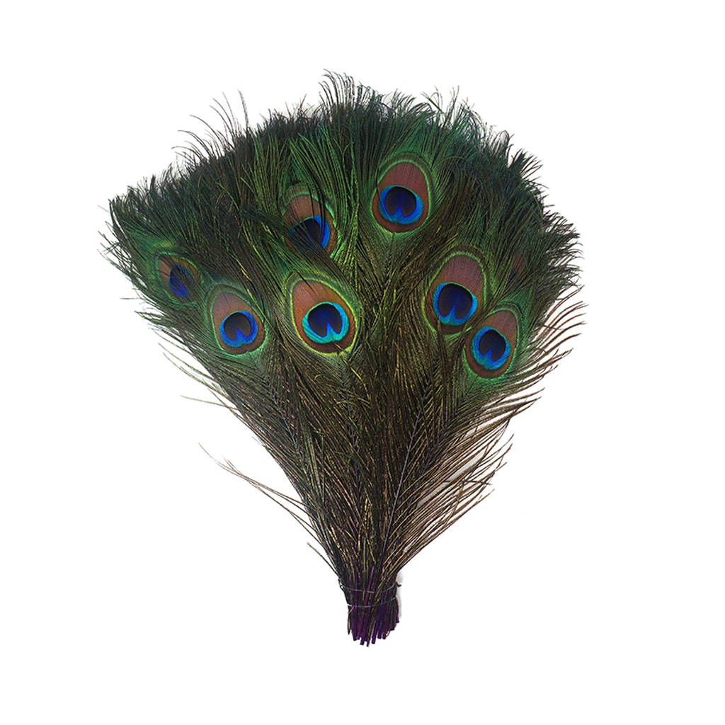 Bulk Peacock Eye Feathers (Full Eye) Stem Dyed 100 PC 8-15" - Purple