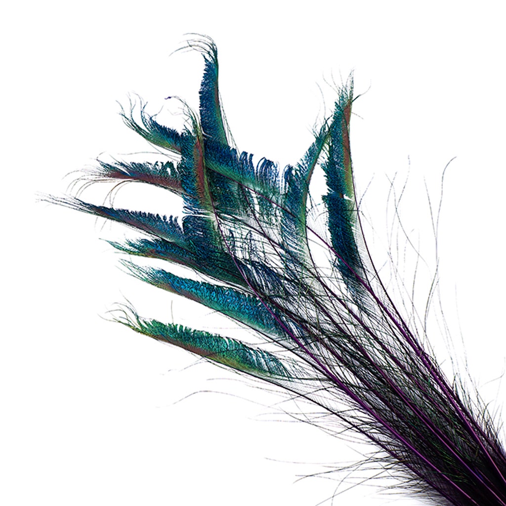 Bulk Peacock Sword Feathers Stem Dyed - 100 pc - 25-40" - Regal