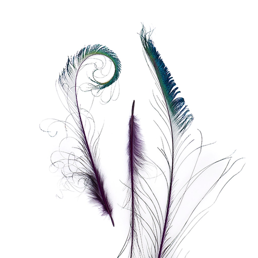 Peacock Swords Stem Dyed - Regal
