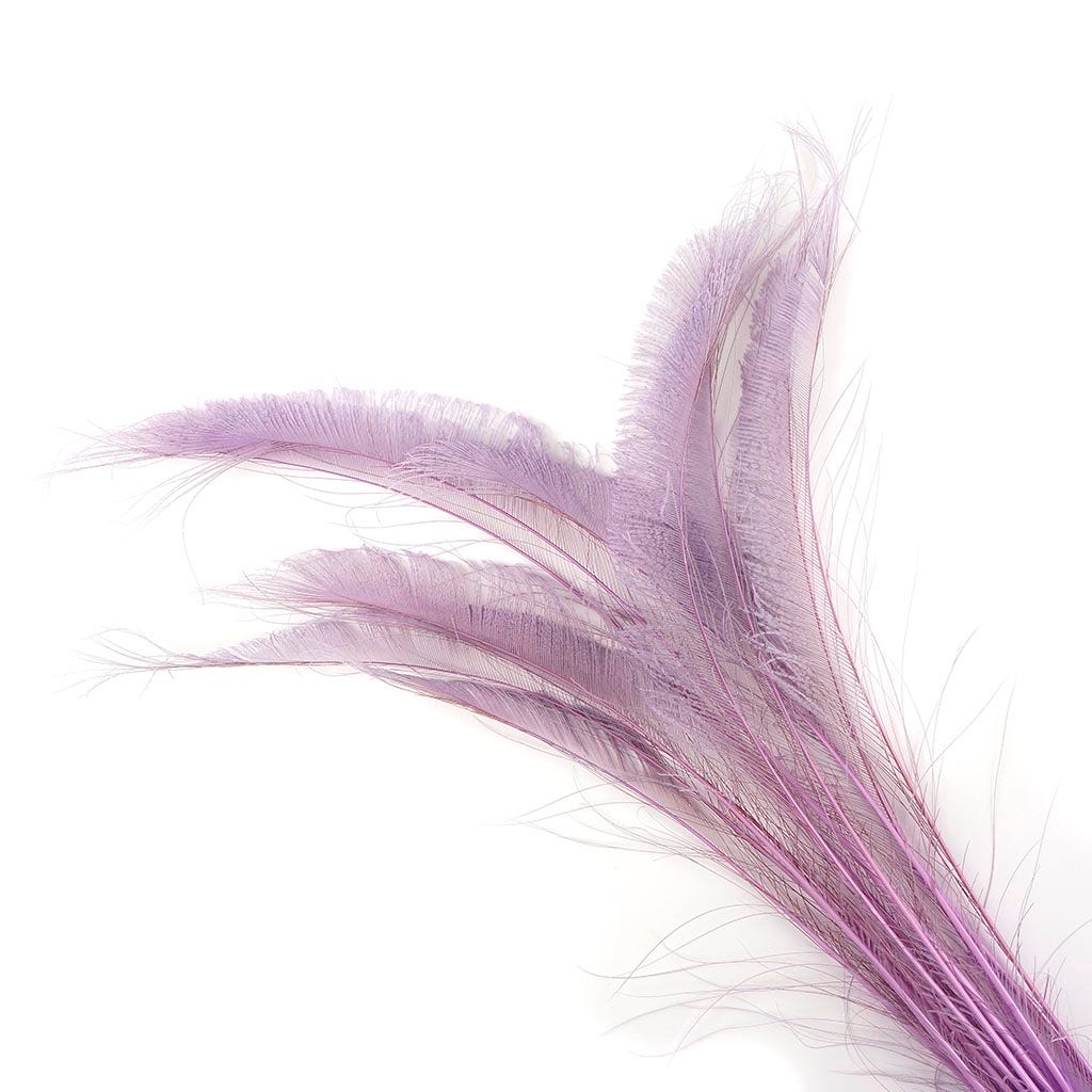 Peacock Swords Bleach Dyed - Orchid