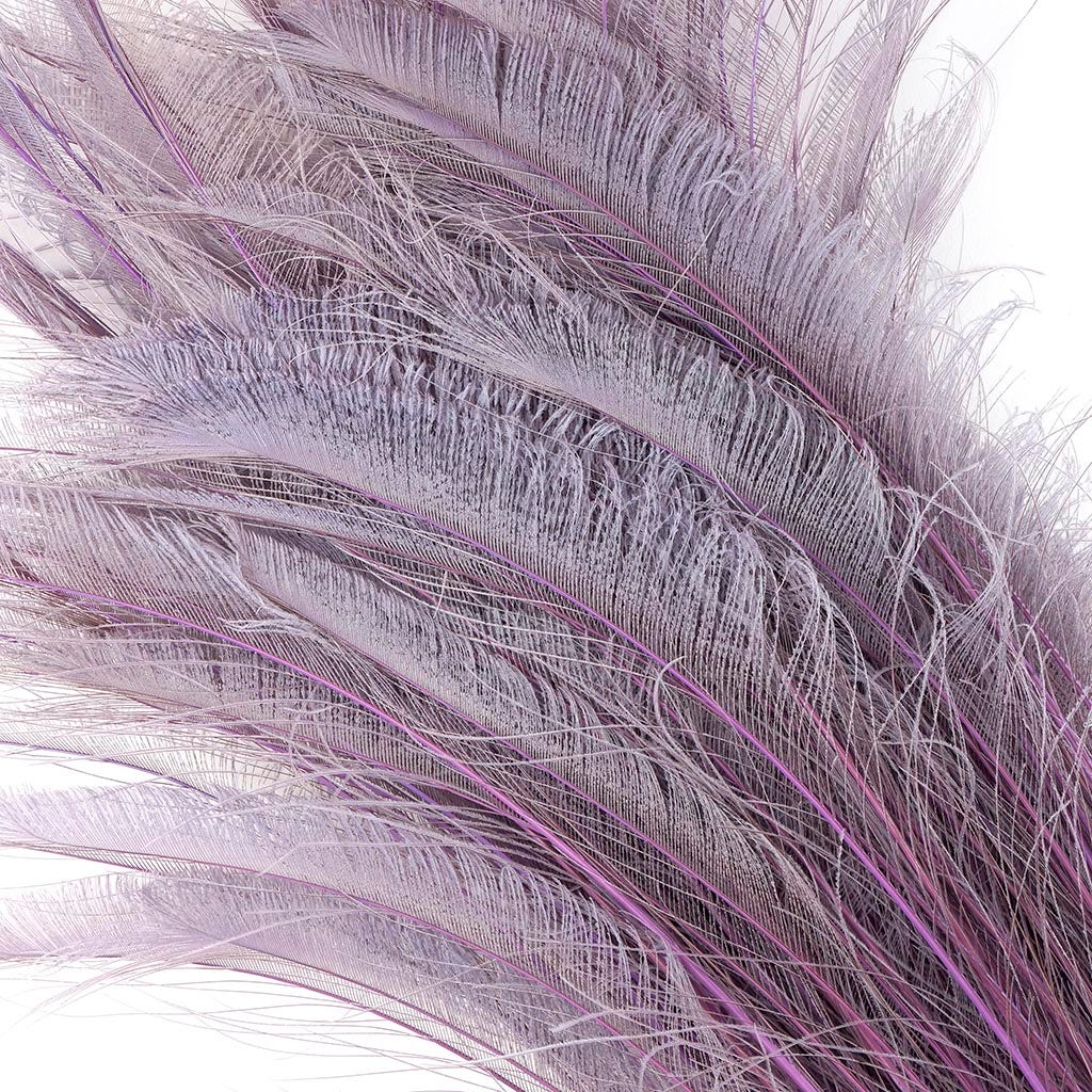 Zucker Feather - Ostrich Drabs Dyed - Purple