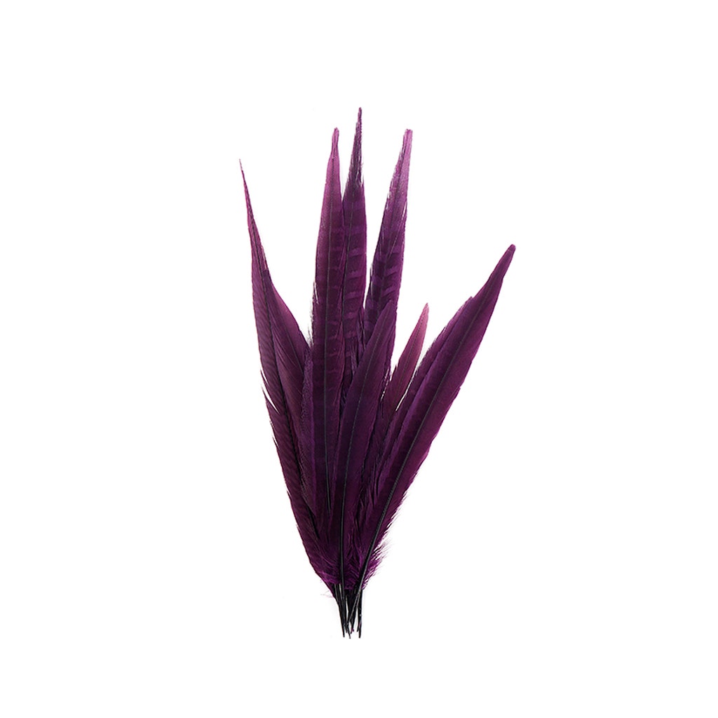 Assorted Pheasant Tails Dyed - Purple