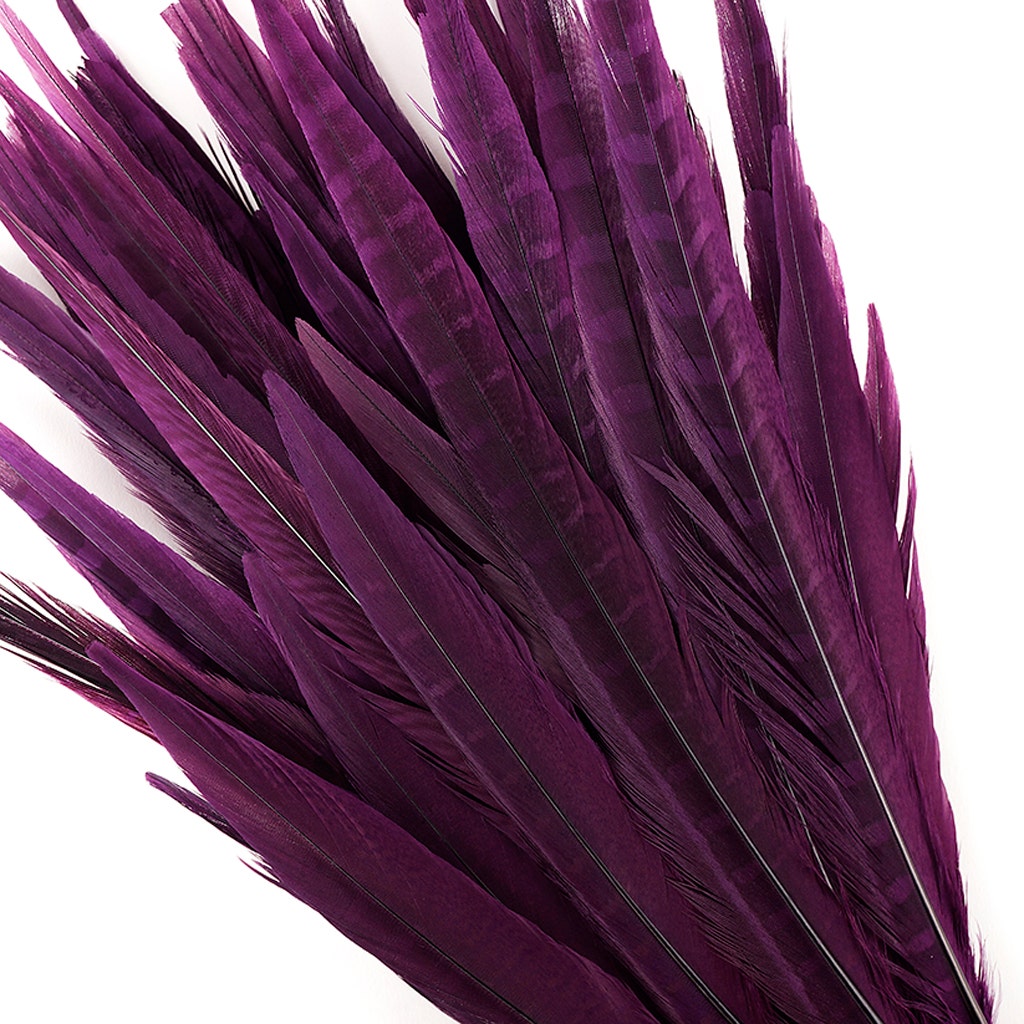 Assorted Pheasant Tails Dyed - Purple