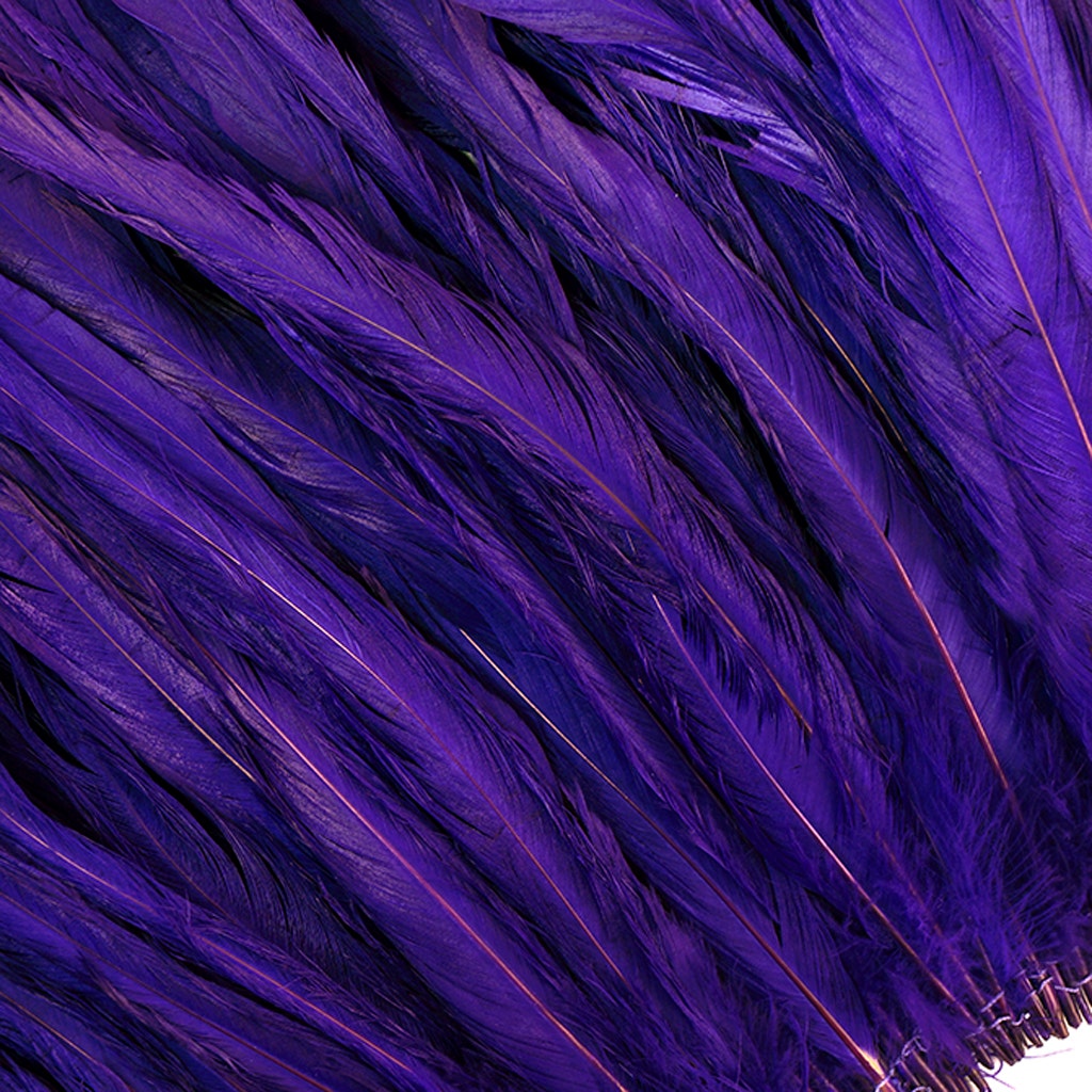 Rooster Coque Tail Feathers Bleach and Dyed - Regal
