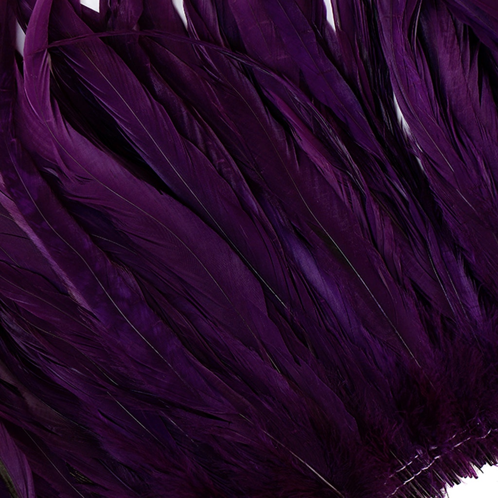 Rooster Coque Tails White-Dyed - Purple