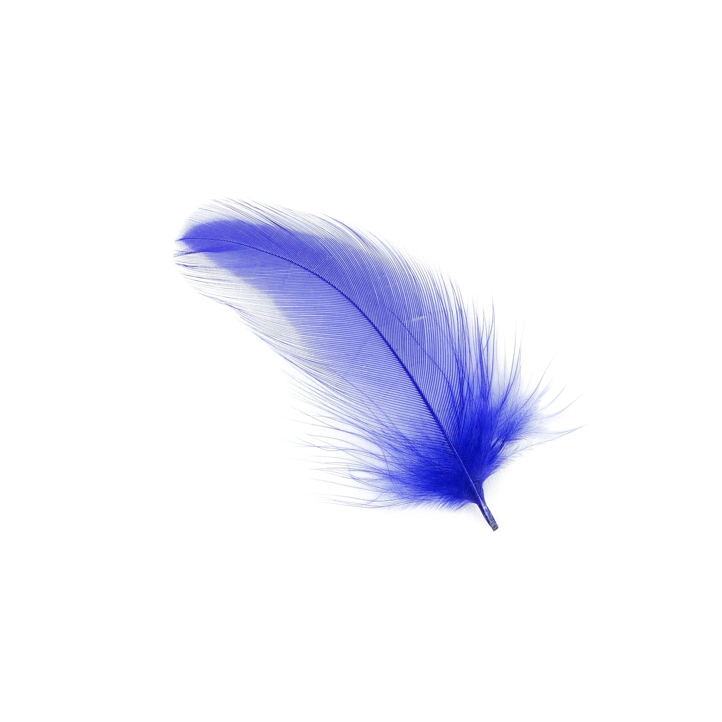 Rooster Hackle-Dyed - Dark Lilac