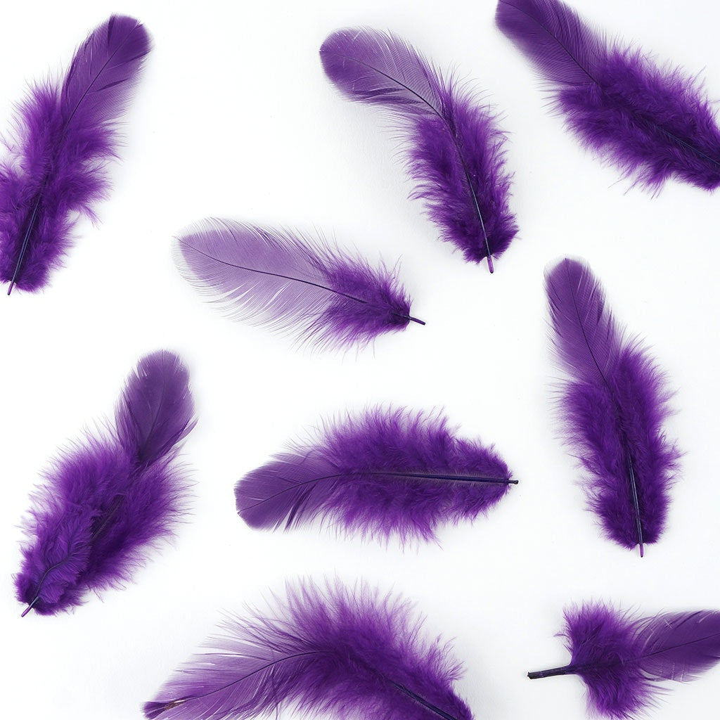 Rooster Plumage-White-Dyed - Purple