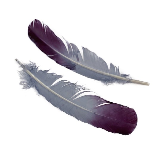 Ombré Turkey Quill Feathers 10-12” 2 pc - Purple-Silver