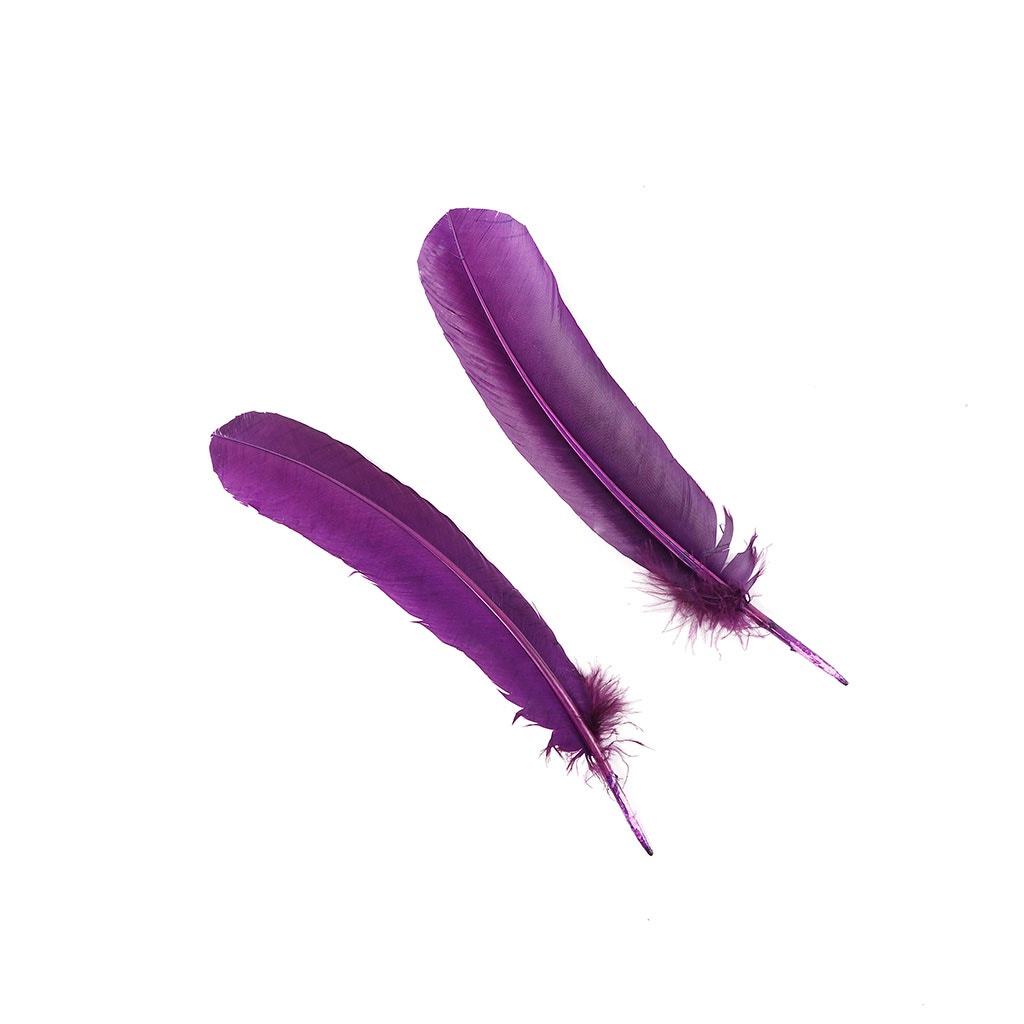 Turkey Quills Dyed Feathers - Purple