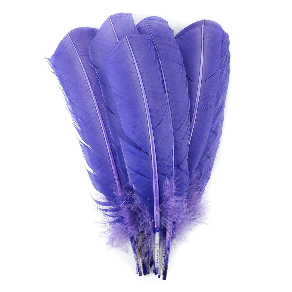 Turkey Quills Selected-Lavender