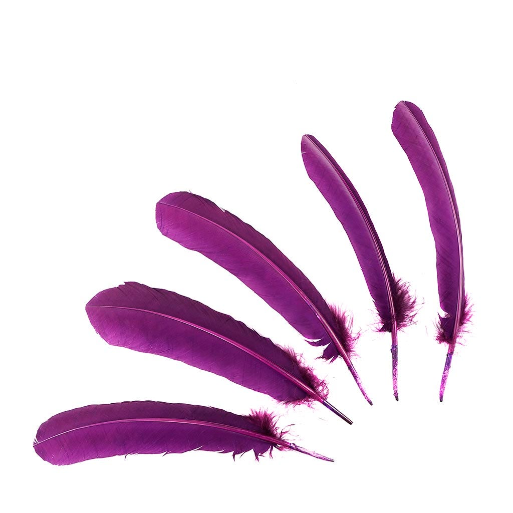 Turkey Quills Selected - Purple