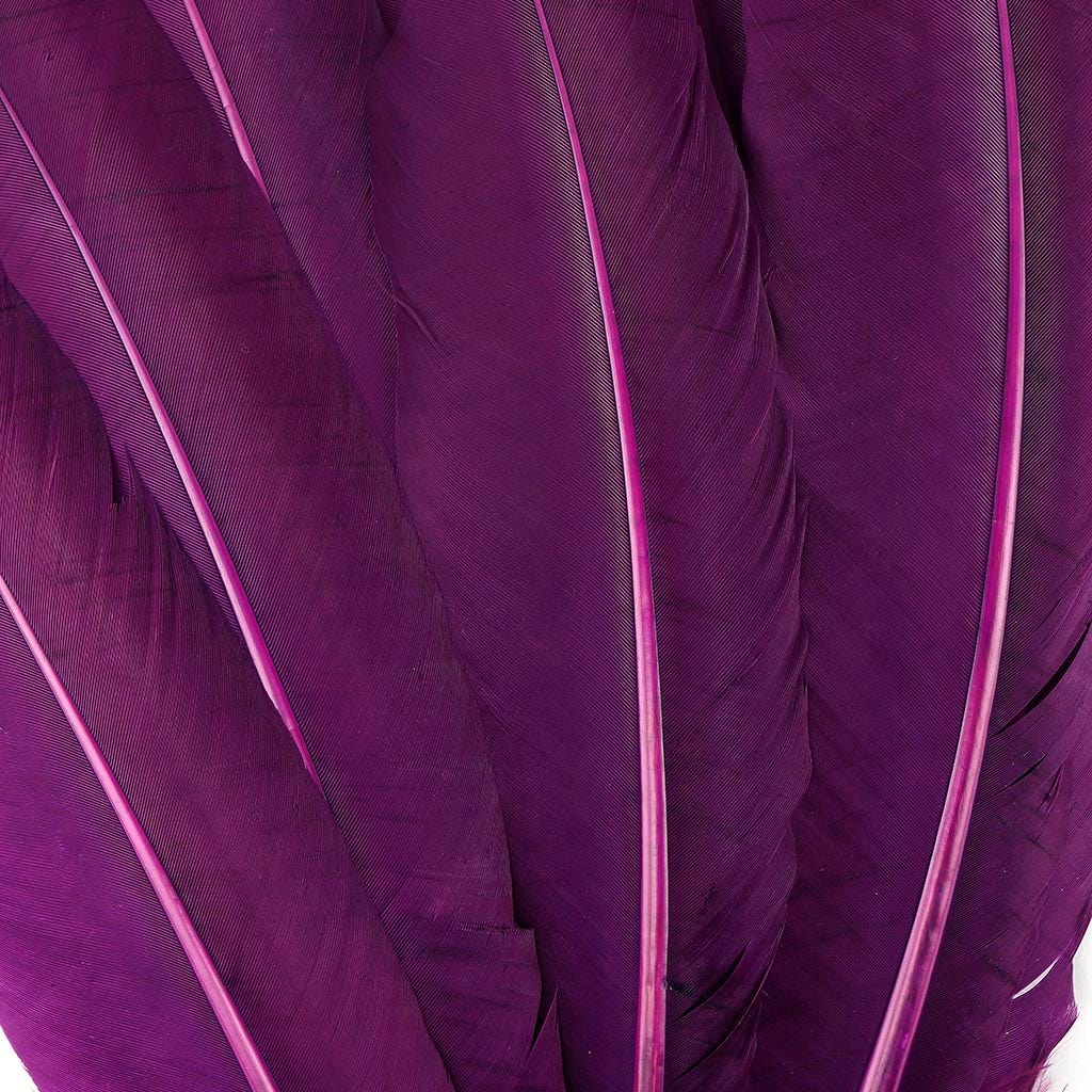 Turkey Quills Selected - Purple