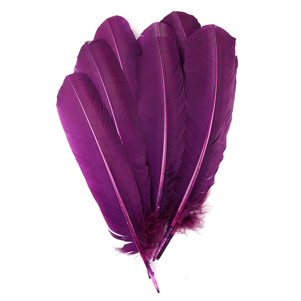 Turkey Quills Selected - Purple